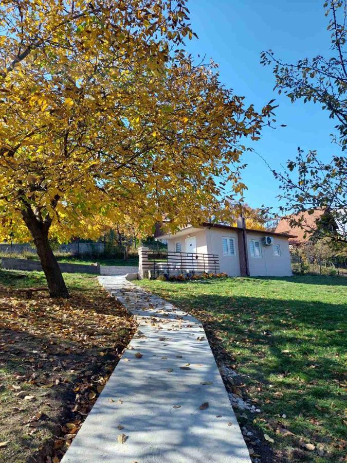Borsko Jezero Villa Exterior photo